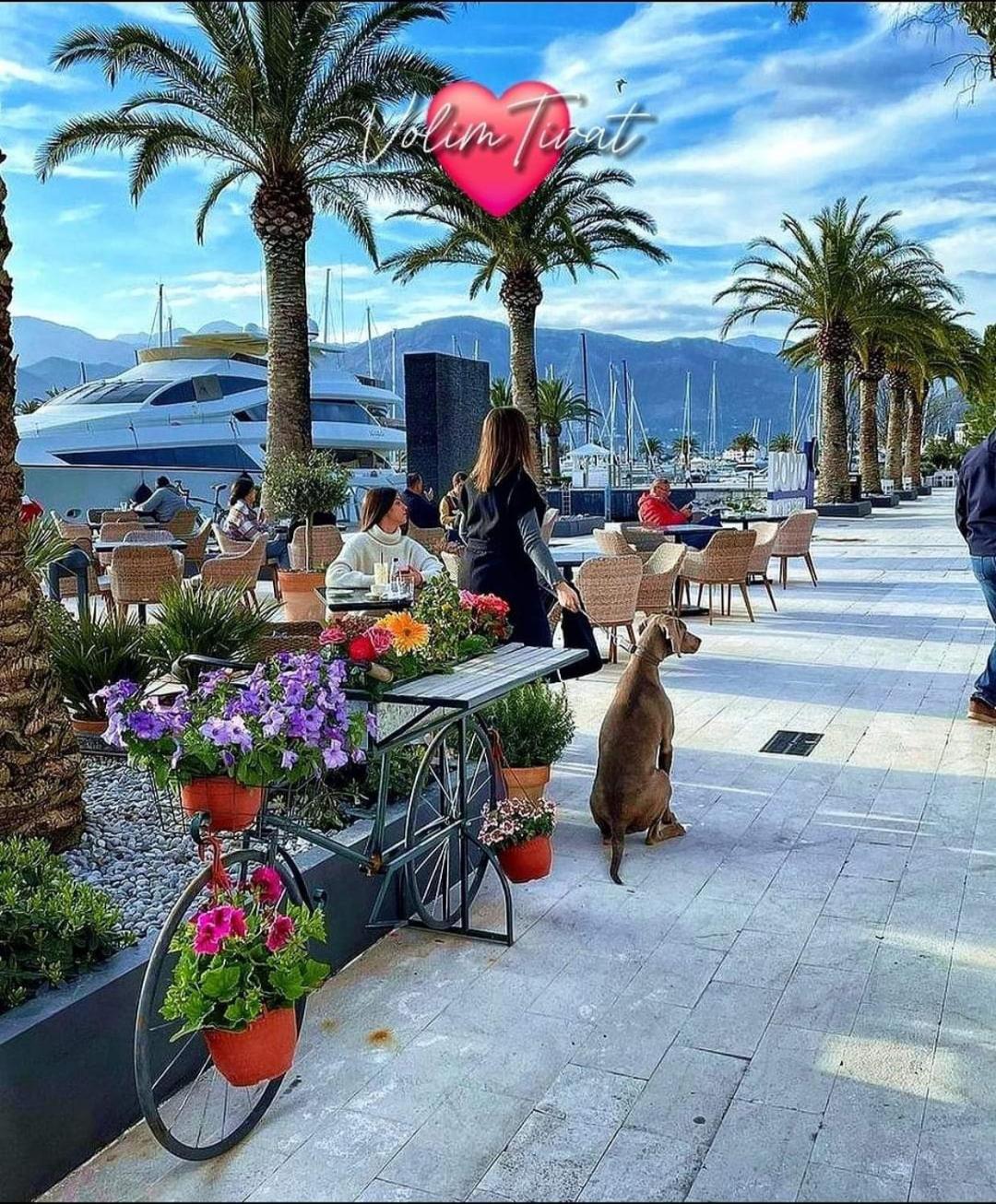 Apartmani Bekonja Tivat Exterior photo