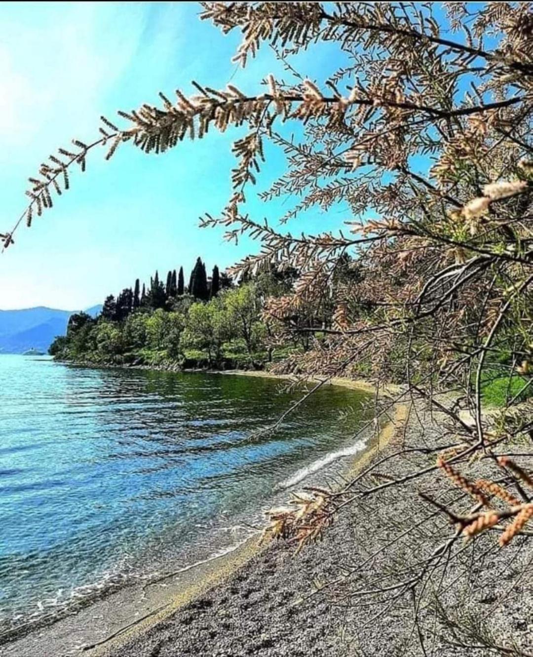 Apartmani Bekonja Tivat Exterior photo